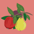 Modul 4: - 