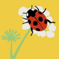 Modul 1: - 