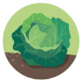 Gemüsegarten